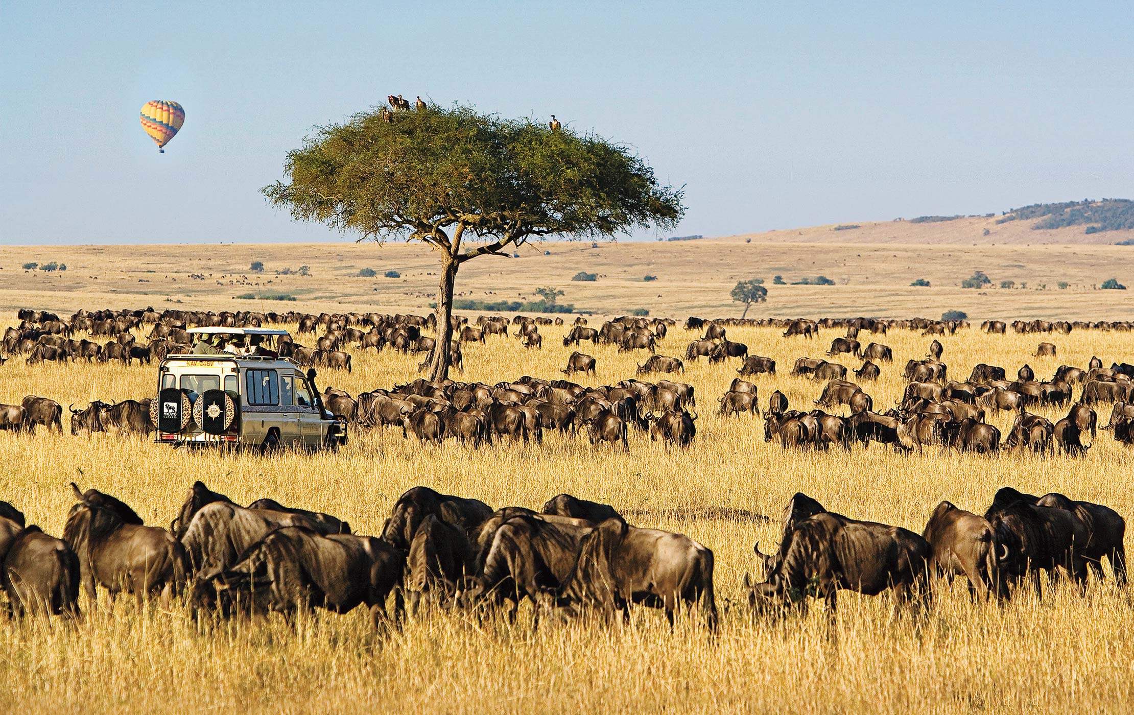 3 Days Masai Mara Lodge Safari