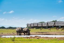 4 Days Laikipia & Ol Pejeta Conservancy Safari