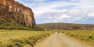 Budget vs Luxury Kenya Safari: What's the Real Difference?