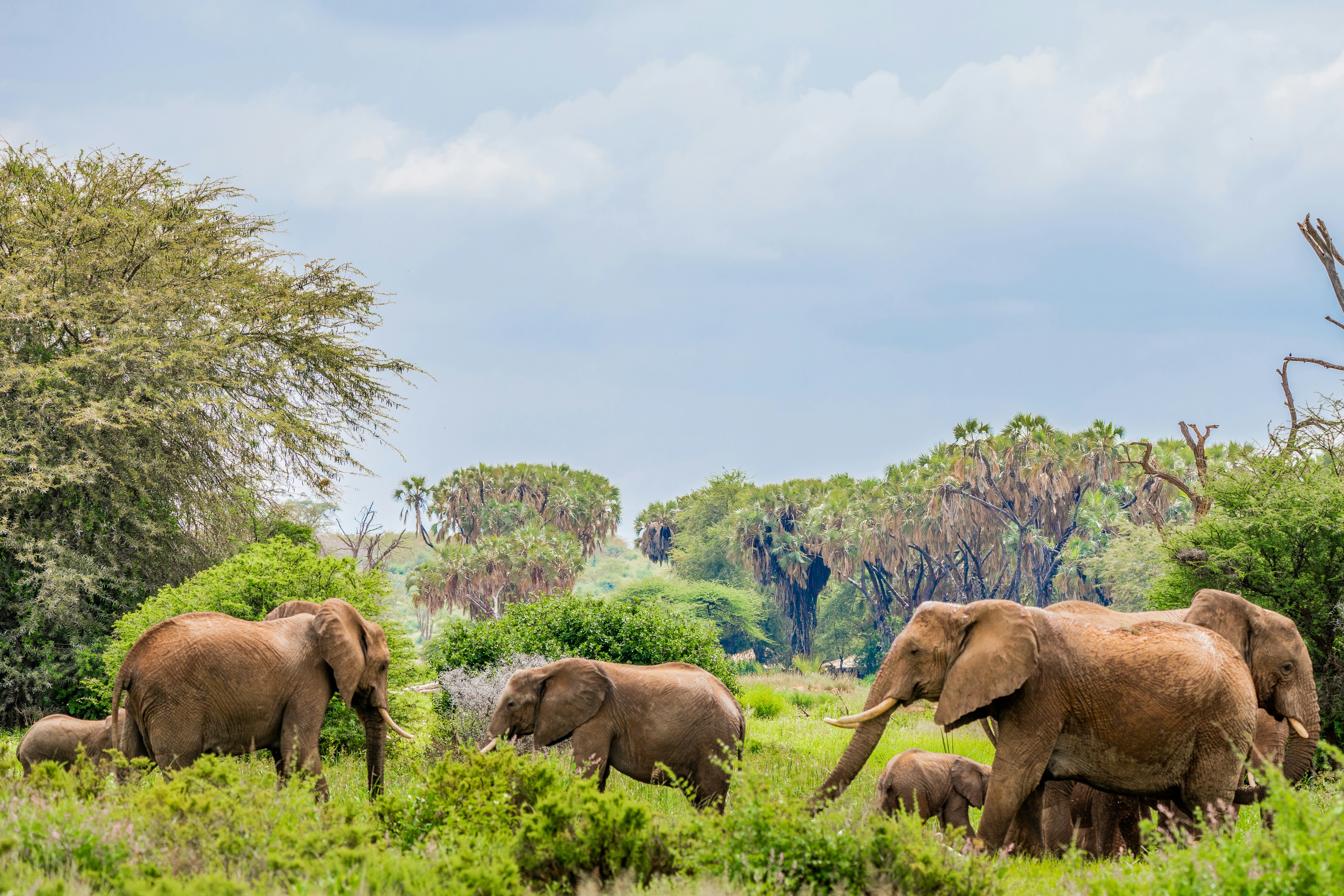 3 Days Samburu National Park Package