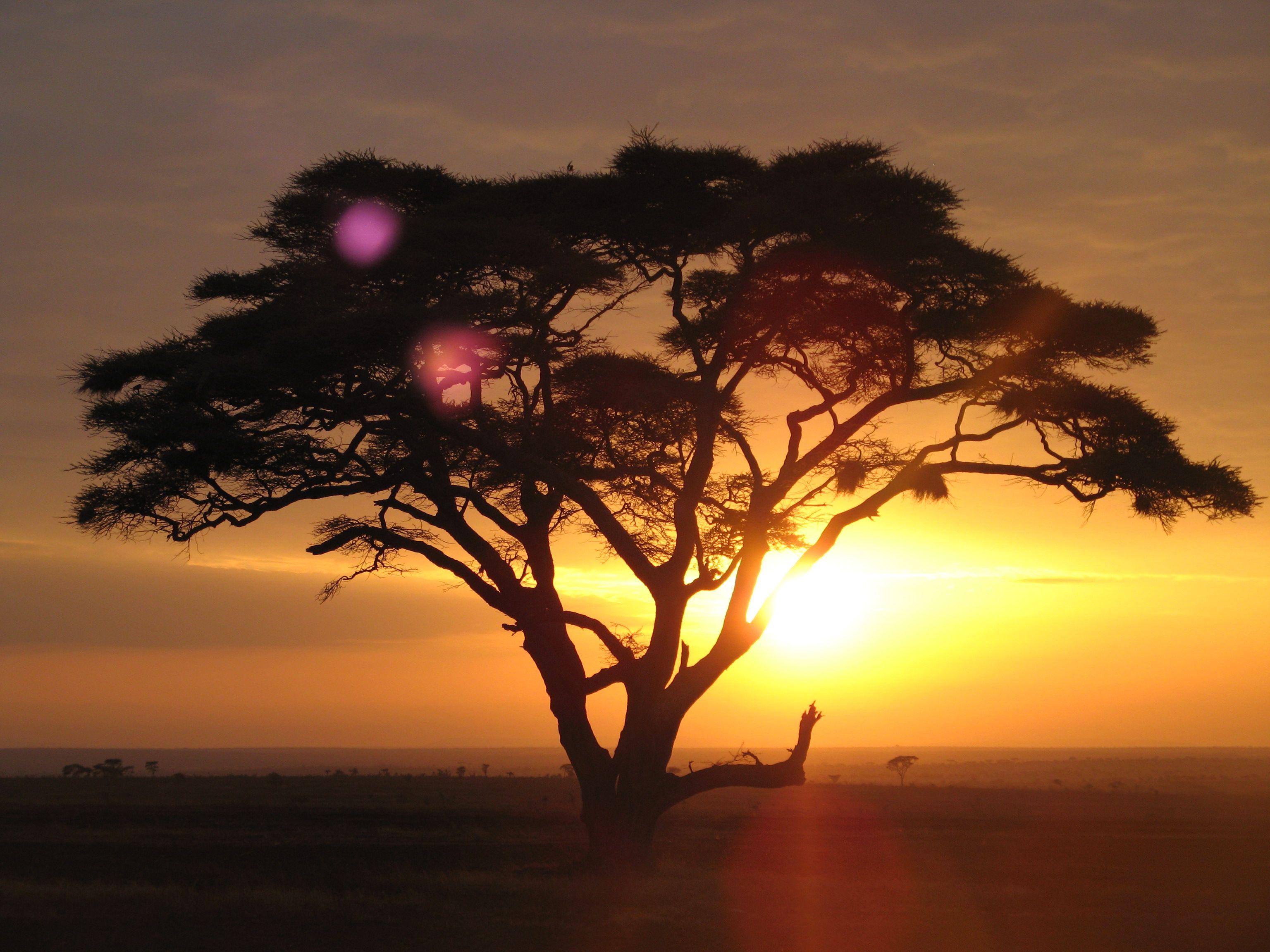 2 Days Tsavo East & West Safari Package